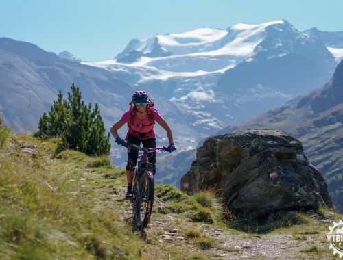 SOUTH + NORTH ORTLES RONDA - 6 Days tour multi Stages (Livigno)