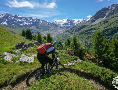 SOUTH ORTLES RONDA - 3 Days tour in Stages (Livigno)